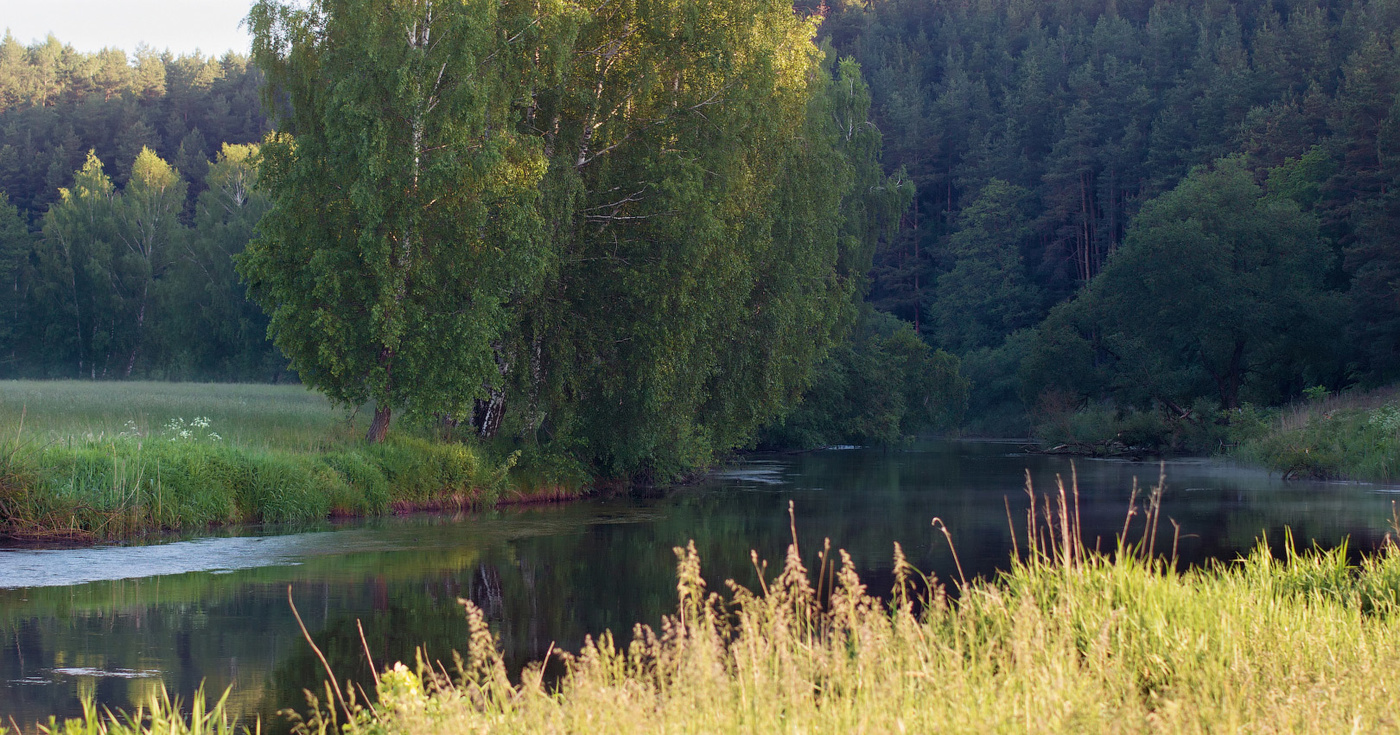 Ласковое утро весны