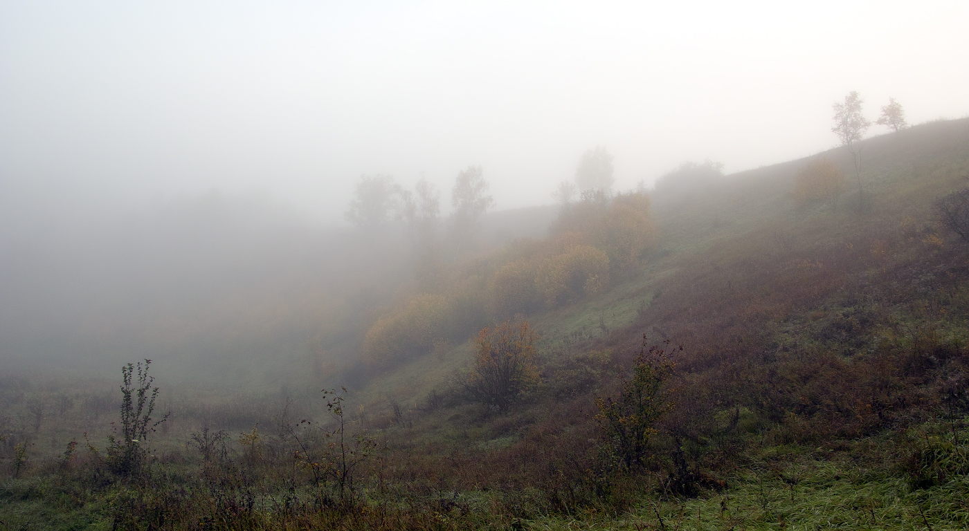 Утренний туман