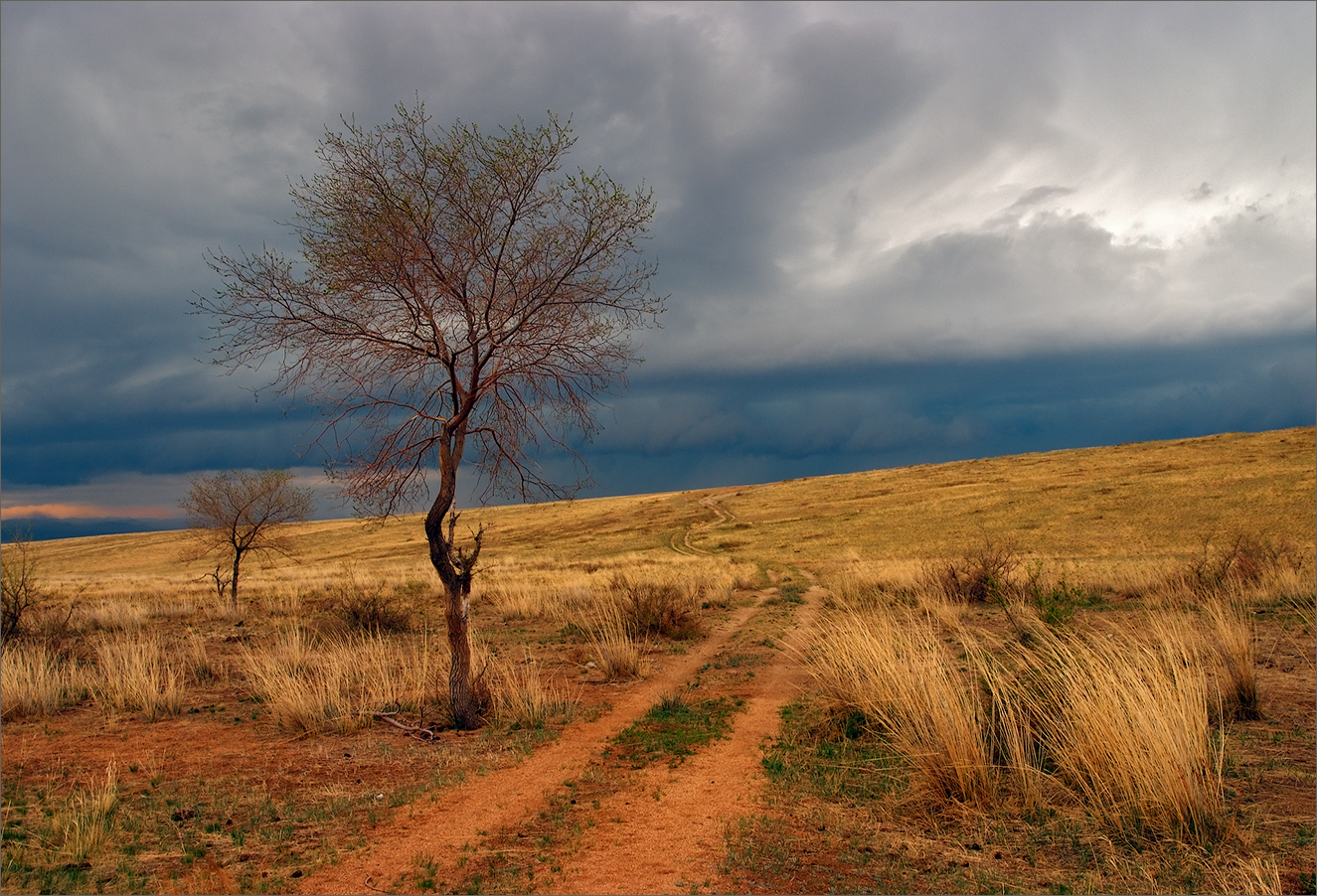Предгрозовая