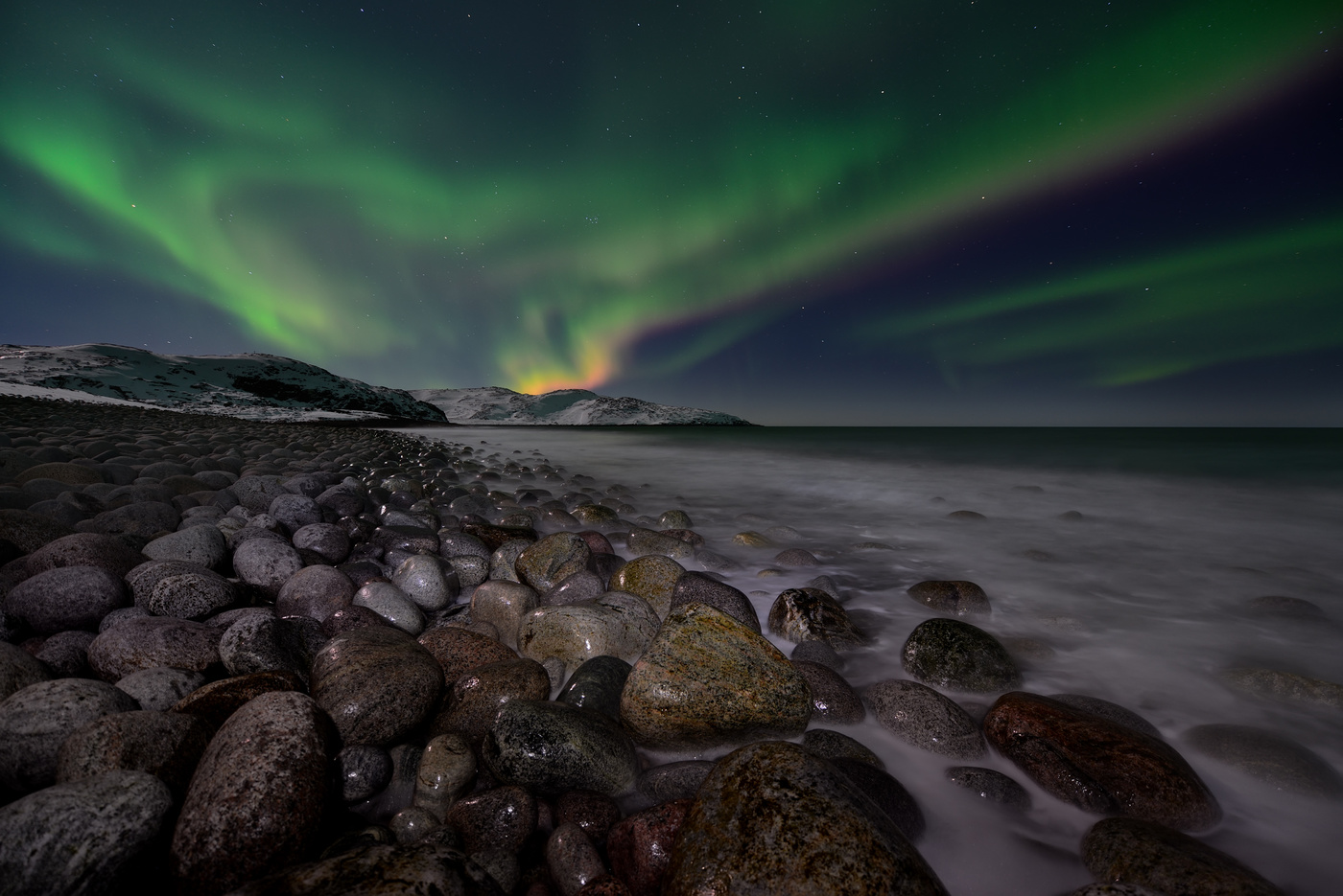 А Умки нет... :(