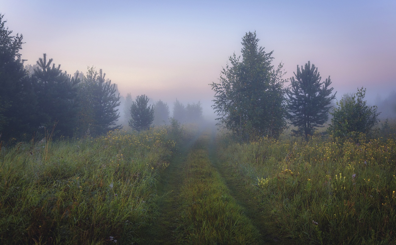 Второстепенная дорога