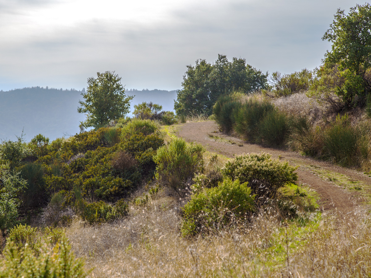 Второстепенная дорога
