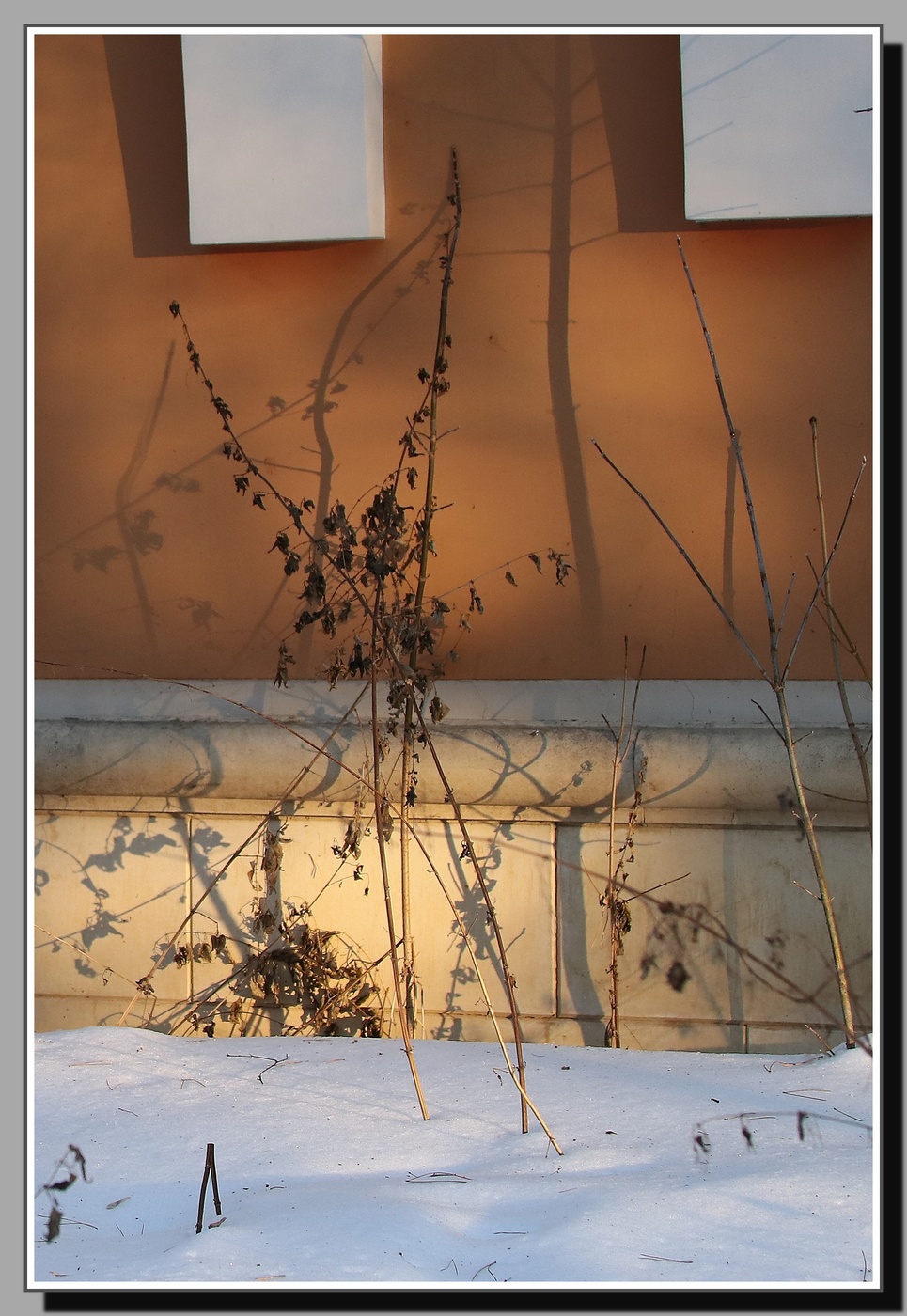 Театр теней