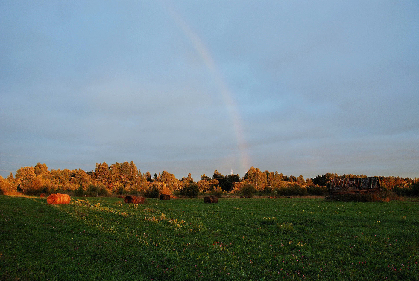 Вечером, после дождя ...