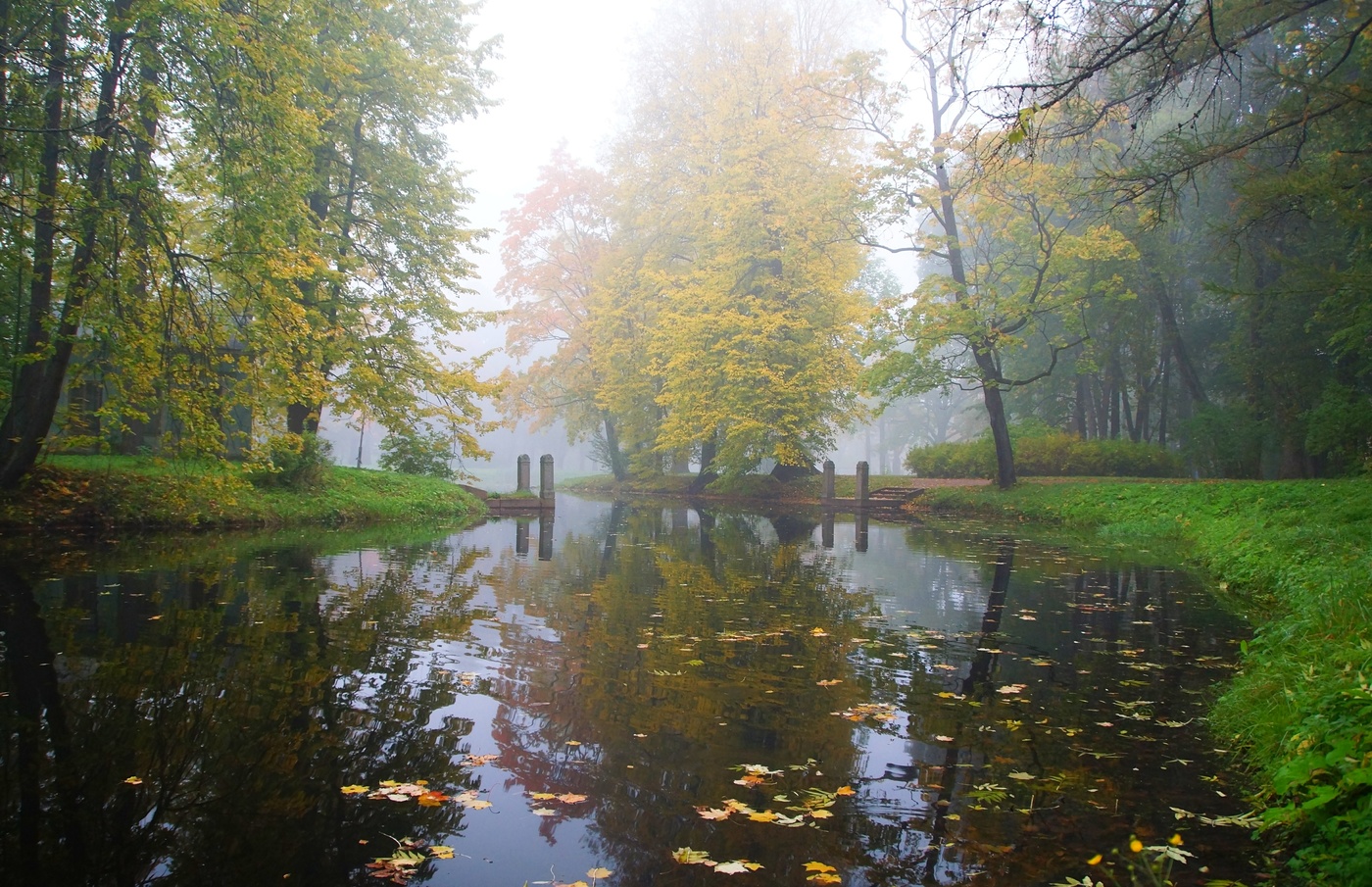 Осеннее утро...