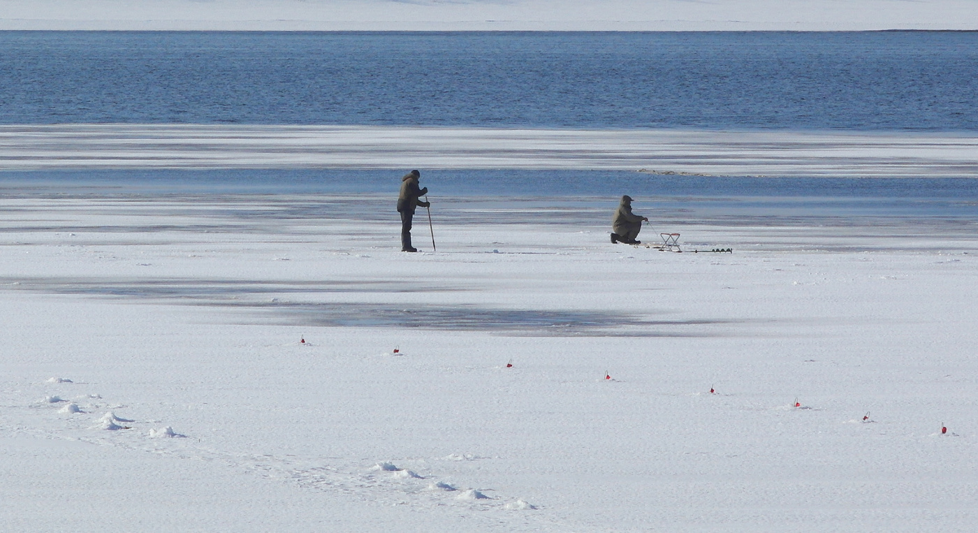 А давно это мы на льдине не плавали.