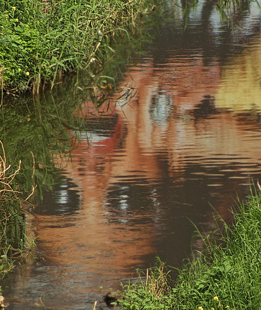 Инопланетяне живут в воде..