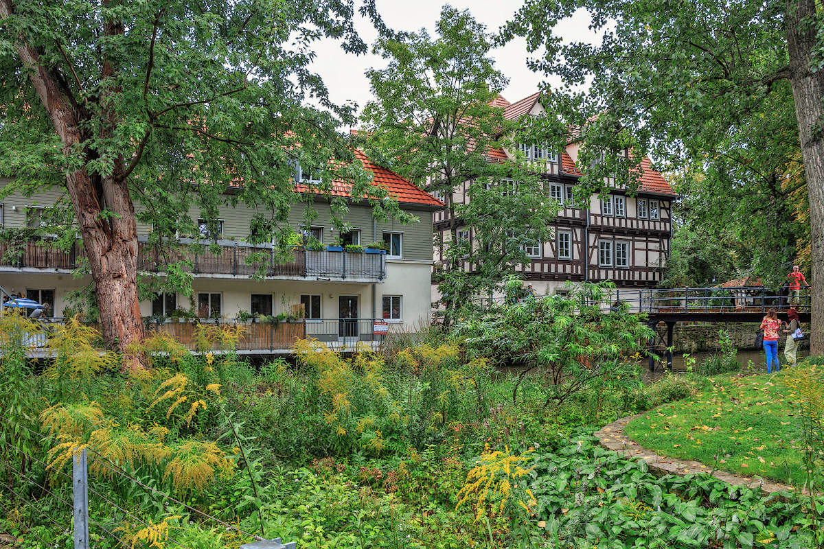 Утопает в зелени городок