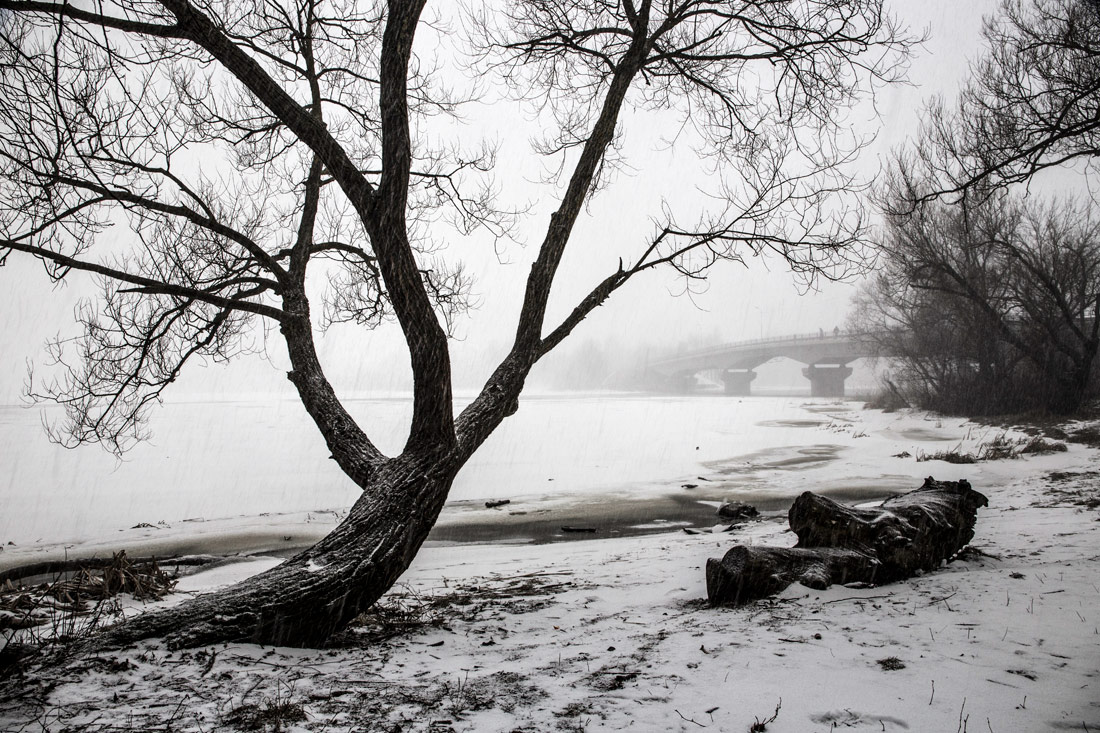 А снег и шел и падал