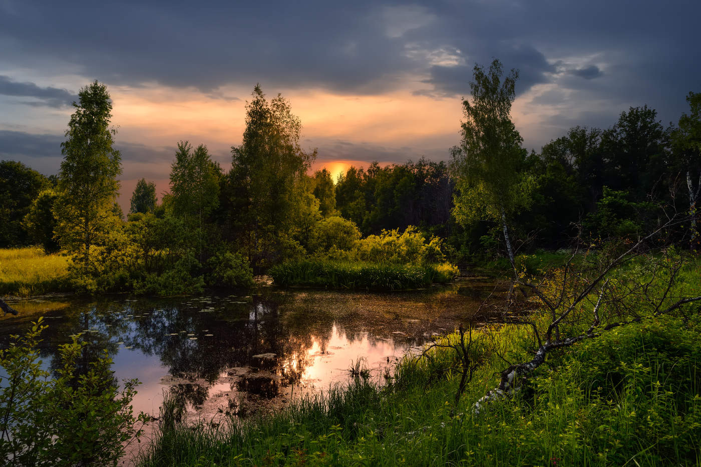 вечером на болоте