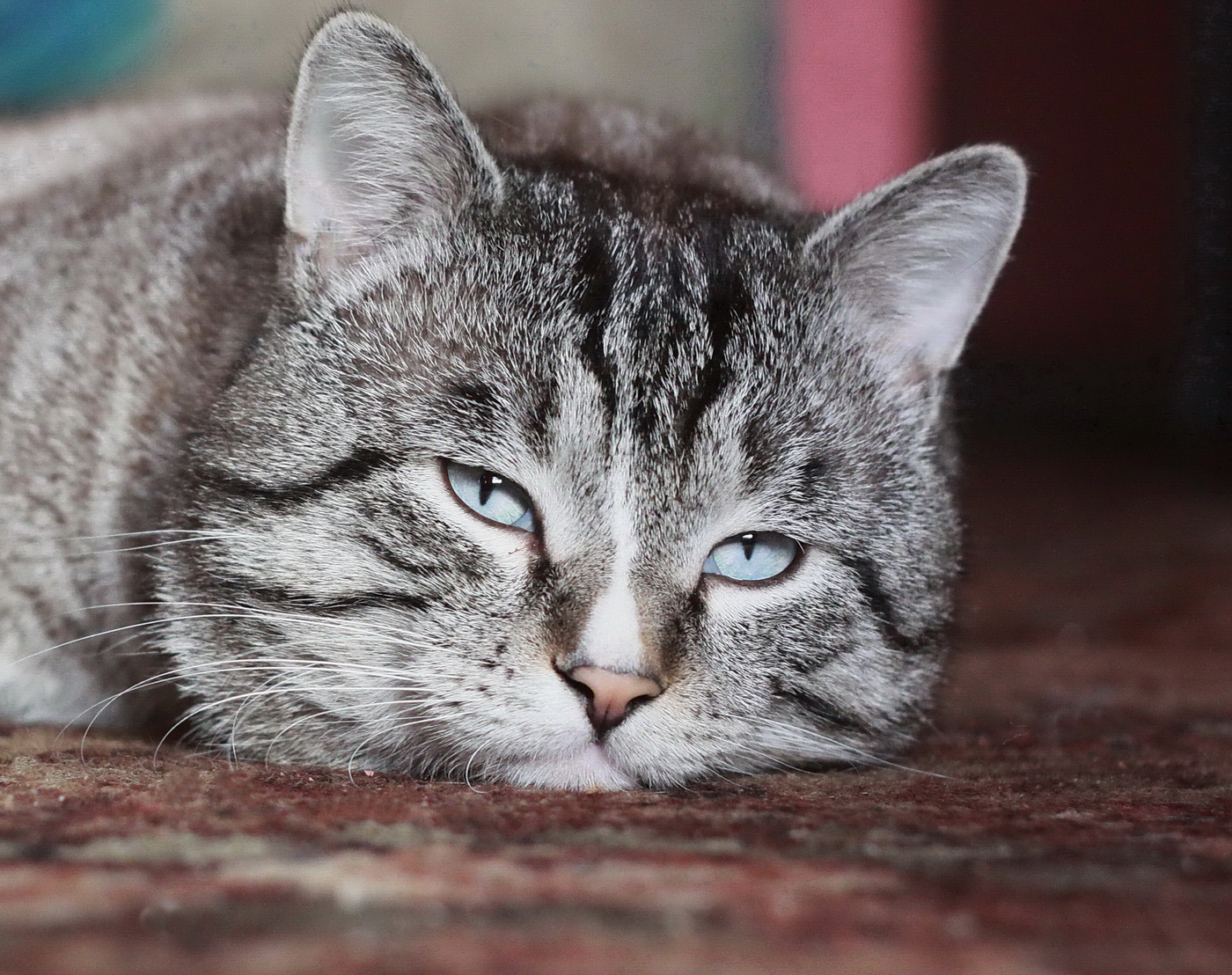 замечтался