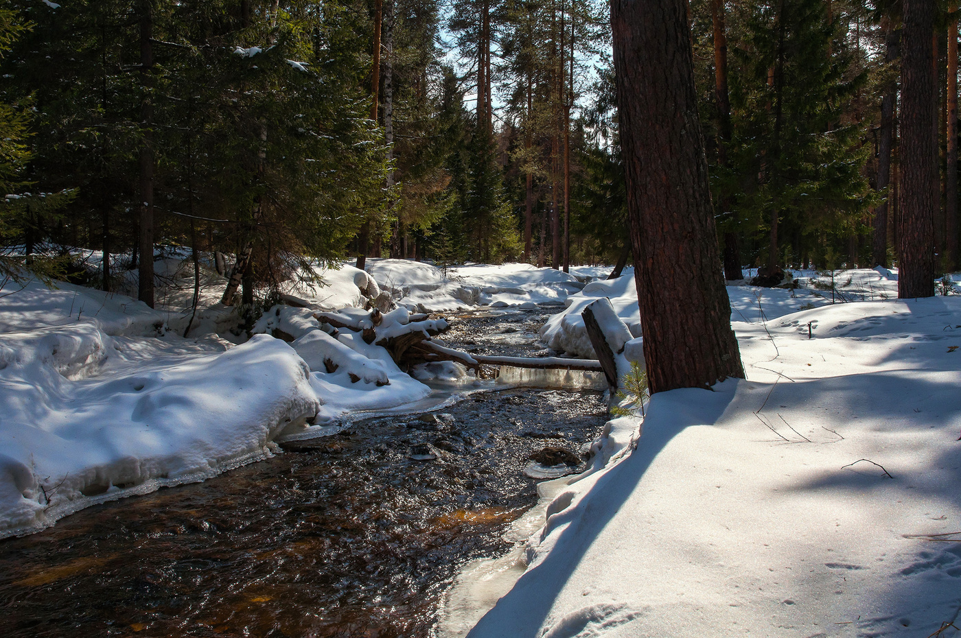 Наступление весны