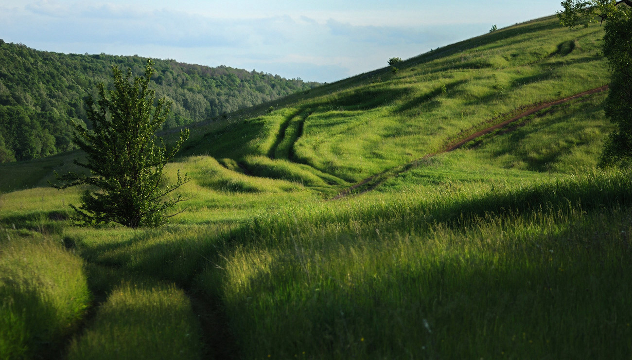 Дорожки Красногорья