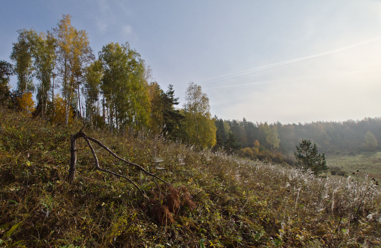 Утро близ Водяного Поля
