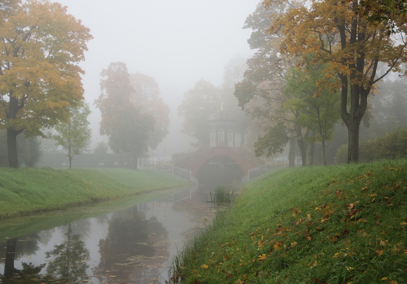 Хмурое утро...