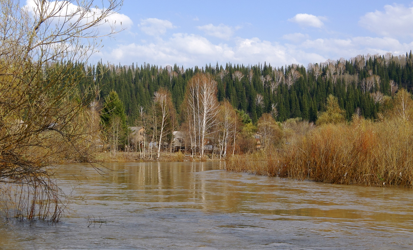 А воды вешние шумят...