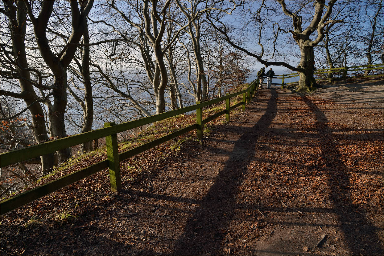 Погожий денек в ноябре