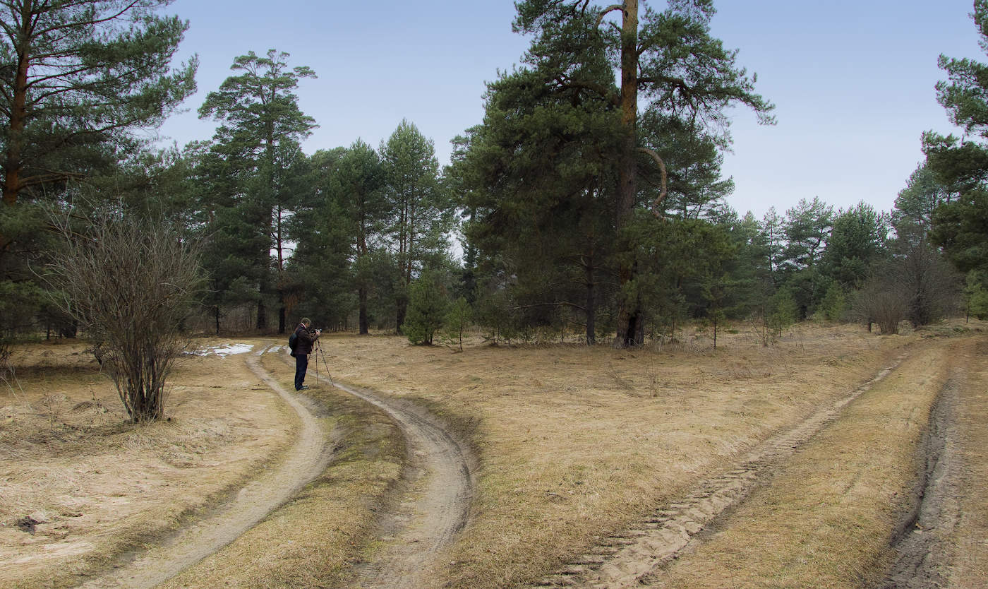У каждого своя дорога