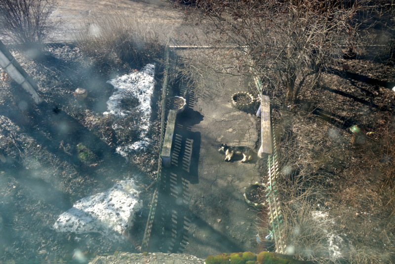 Мартовский не кот