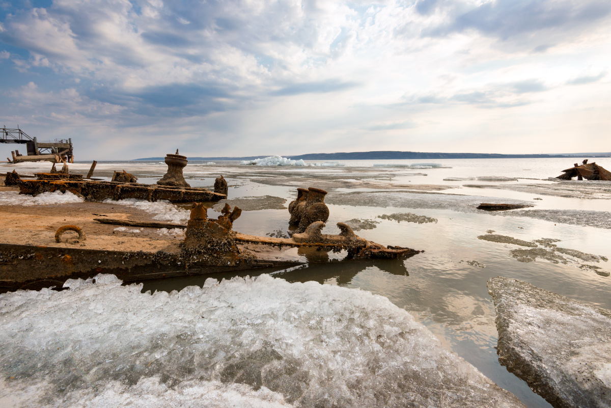 Мартовский не кот