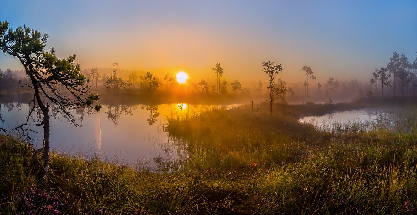 Летнее солнце золотое.