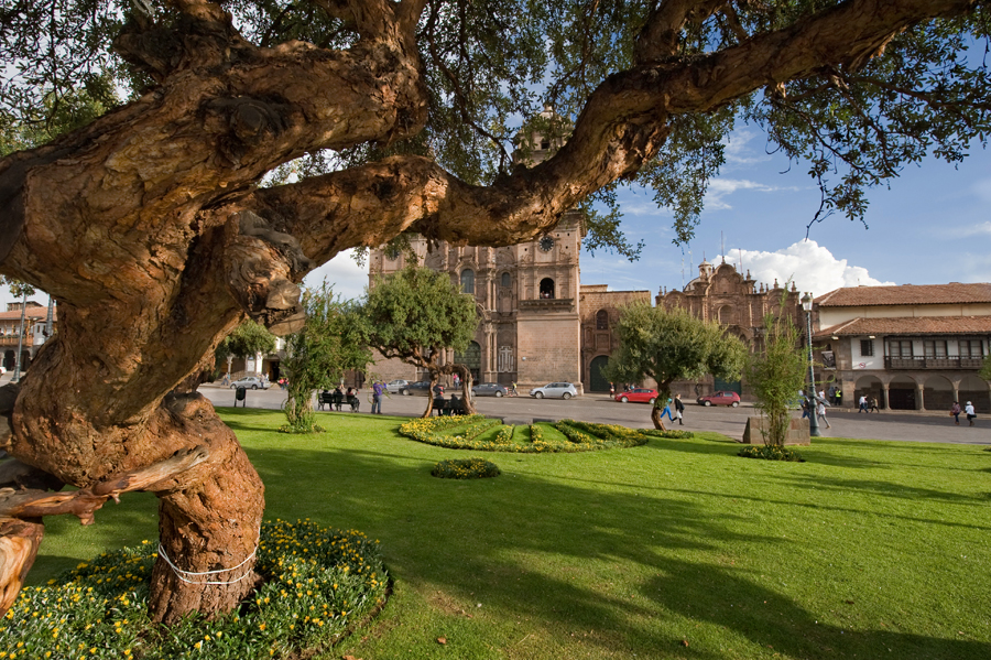 Не Мартовский не кот