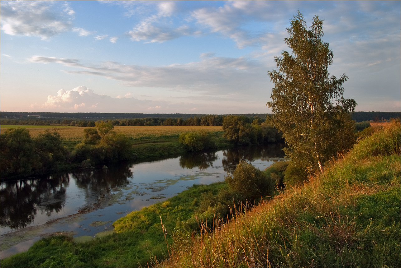 Подмосковные вечера