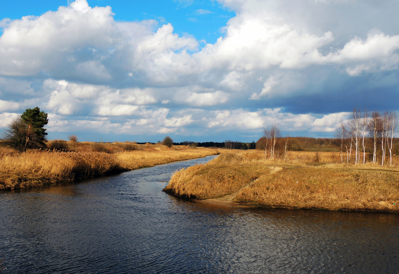 Вешние воды