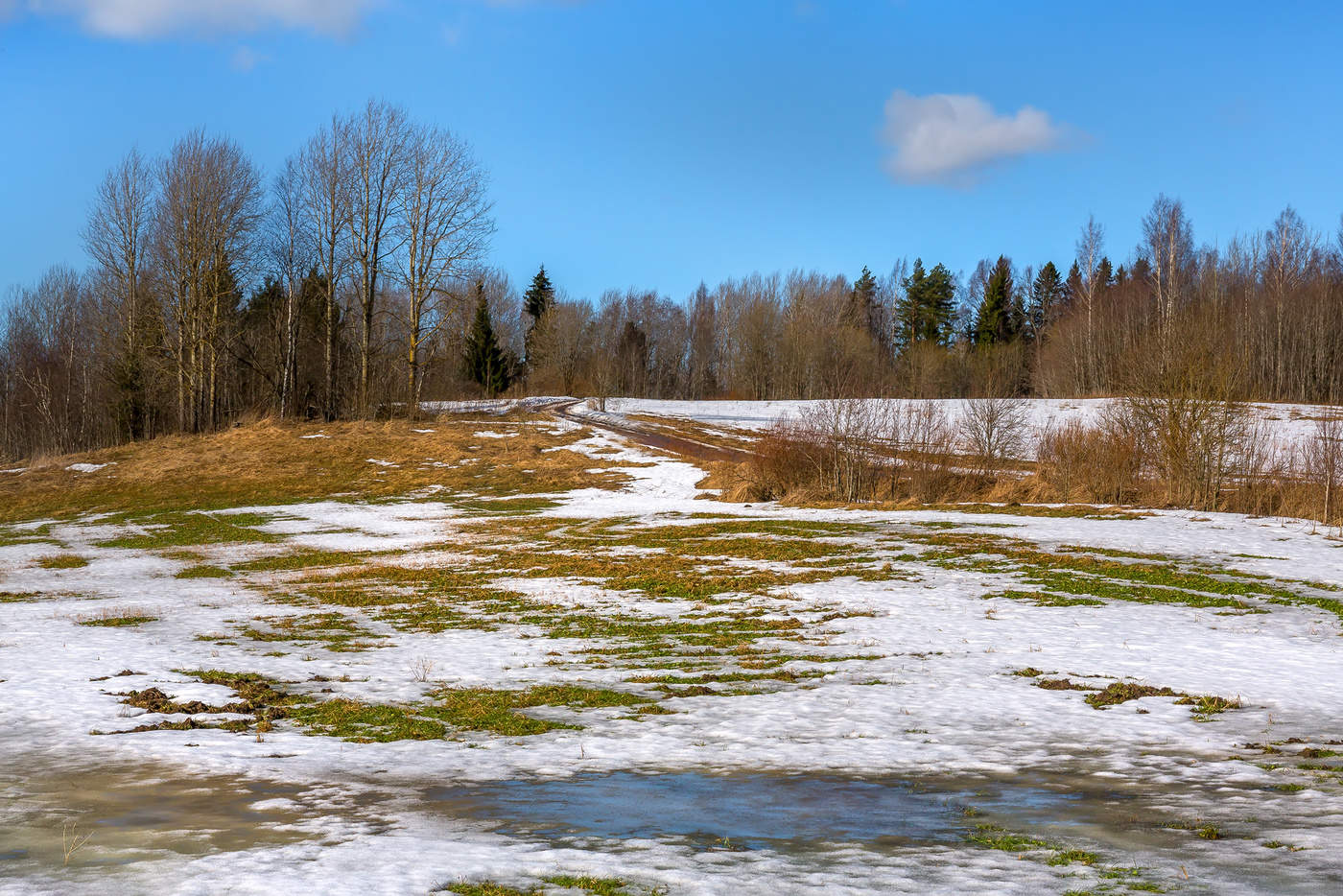 Весна! и воздух дышит и земля просыпается!