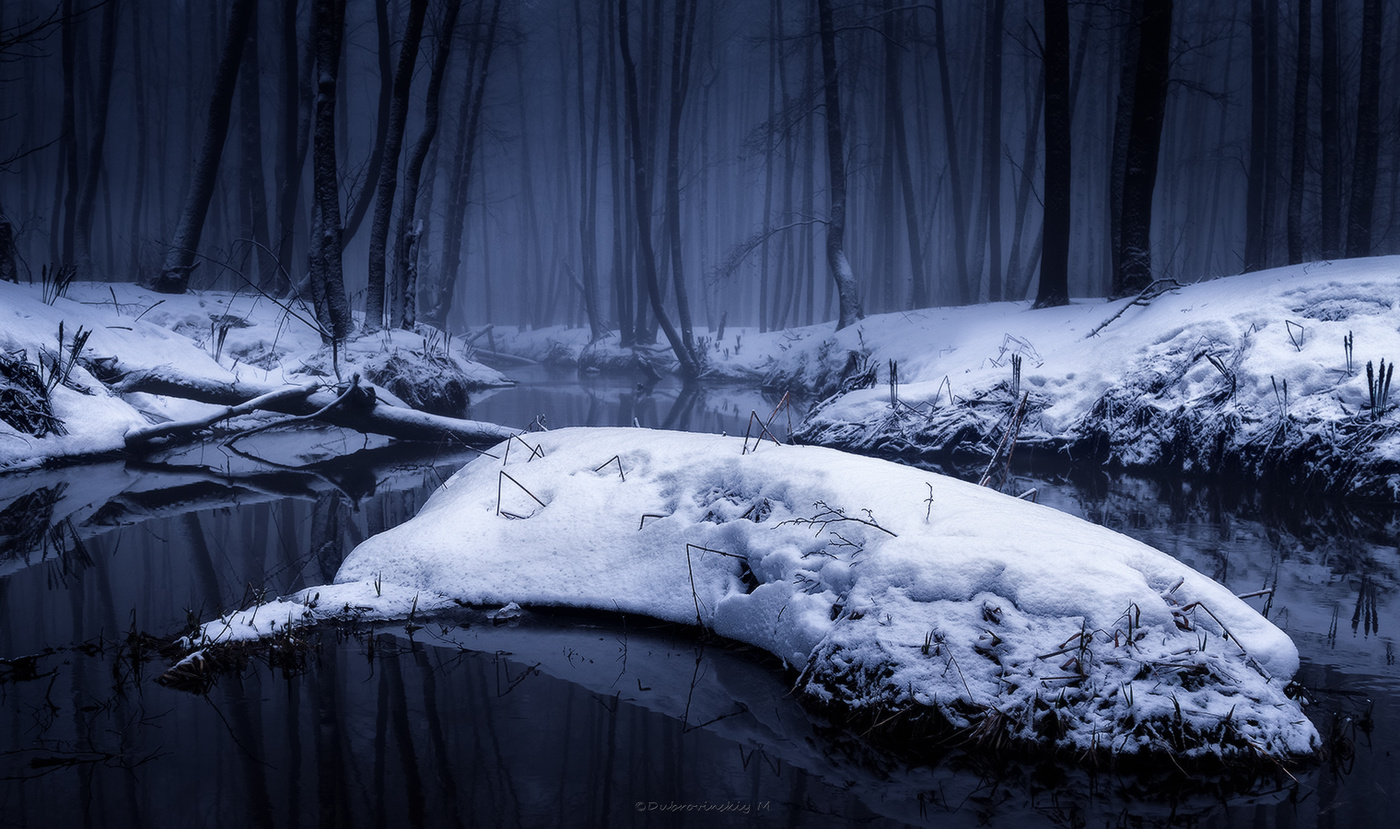 Мистический лес