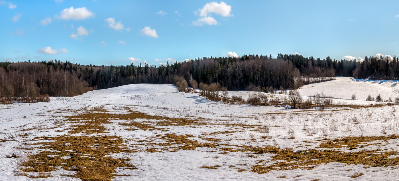 Мартовский день, или поля просыпаются.