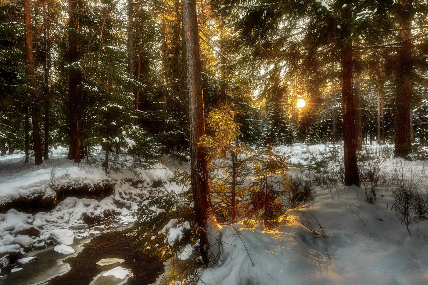 Весенний вечер