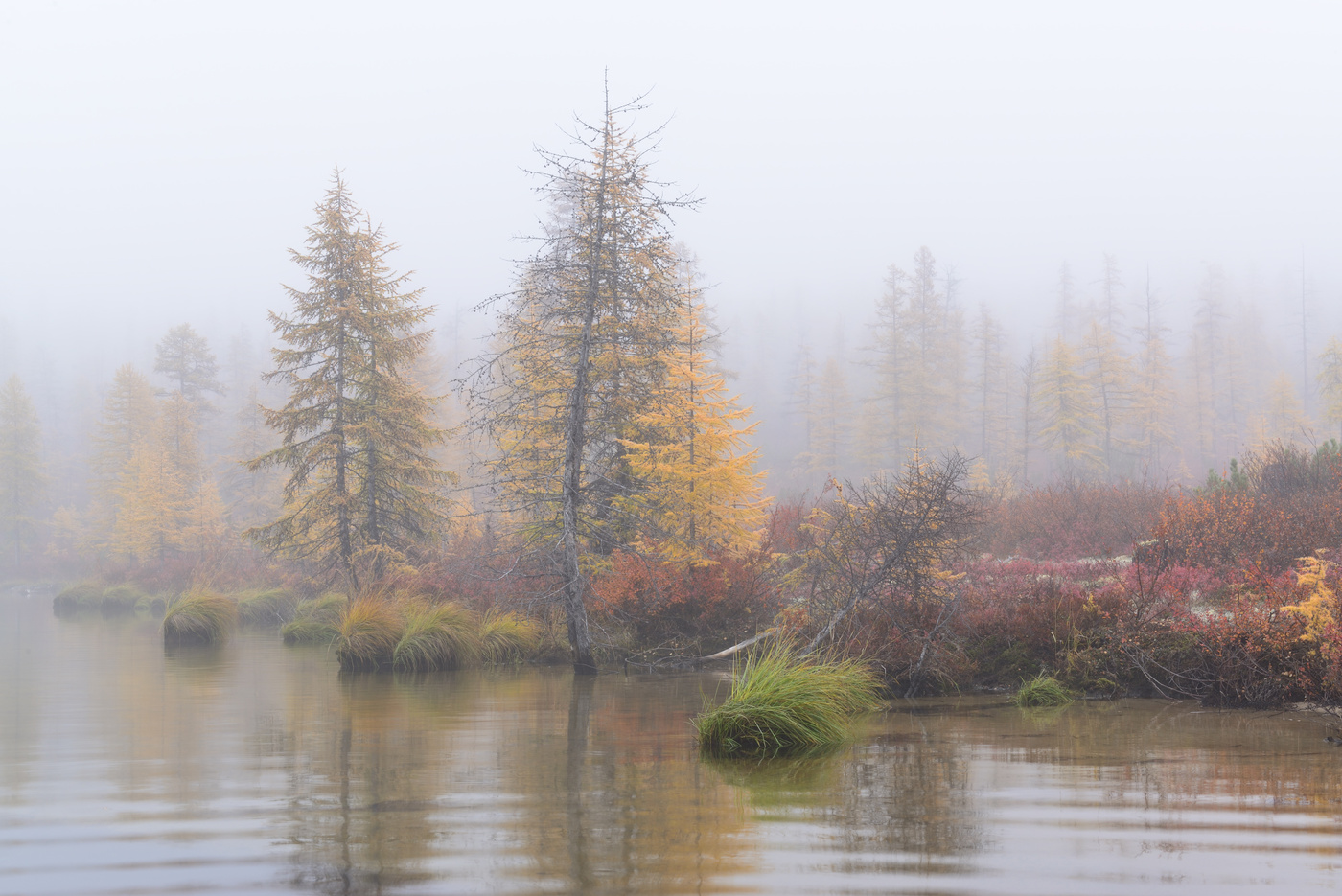 Утро вечера мудренее