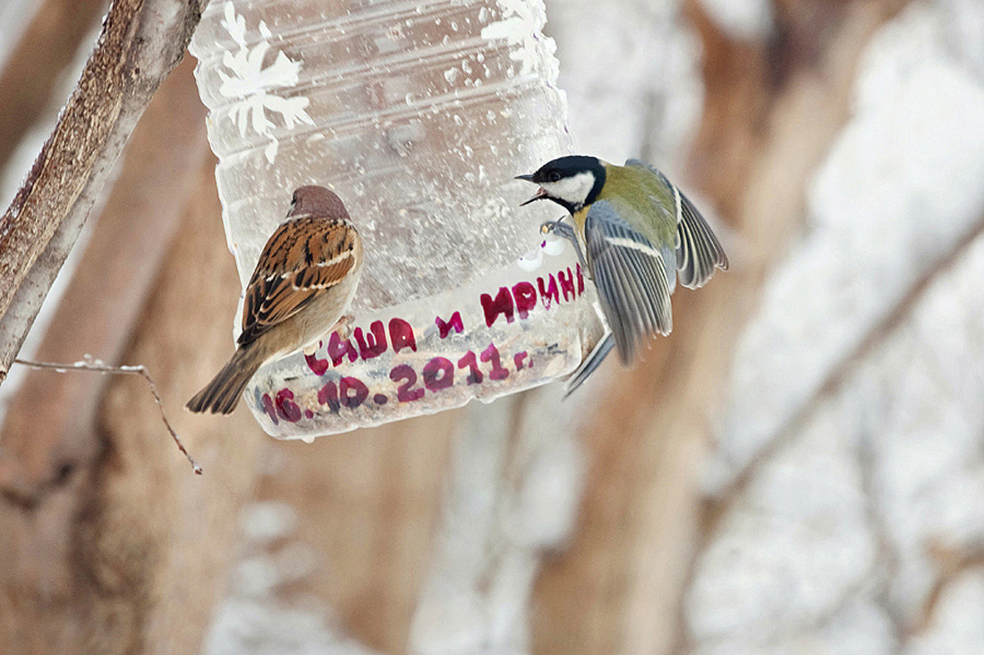 Саша и Ирина