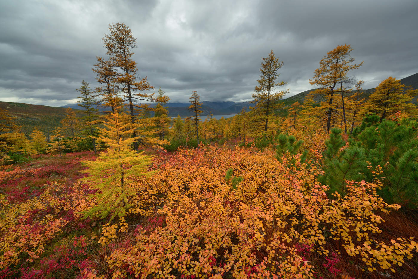 Осень...Мечта...