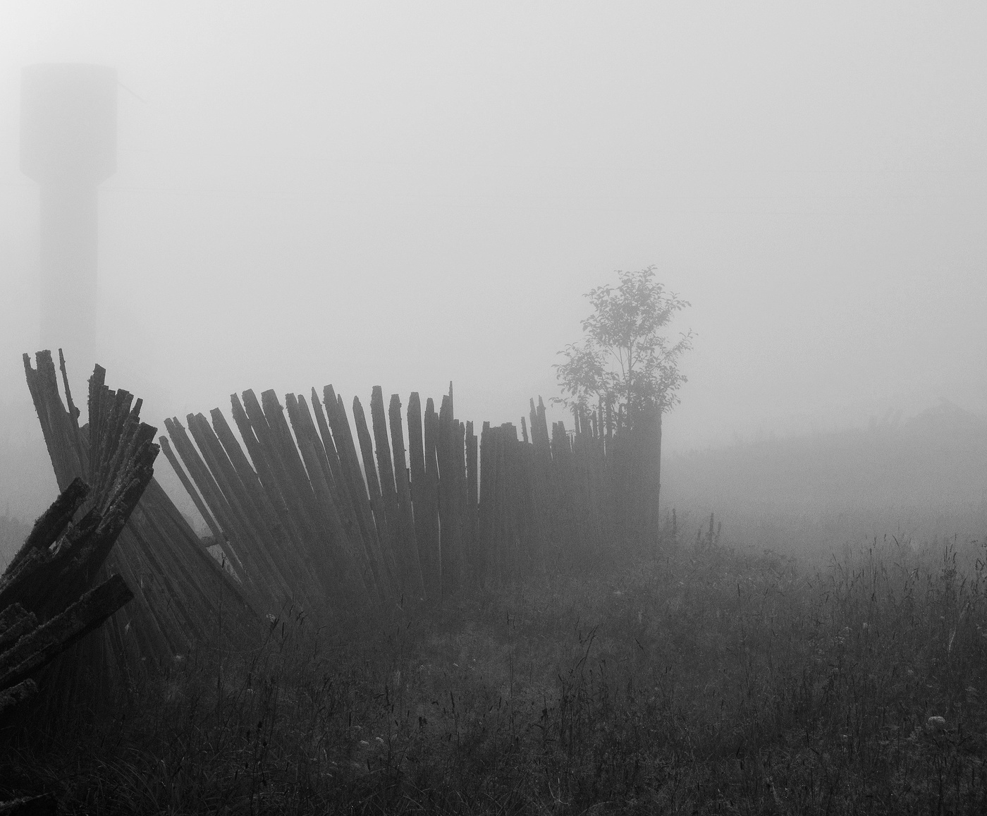 Туманный рассвет ...