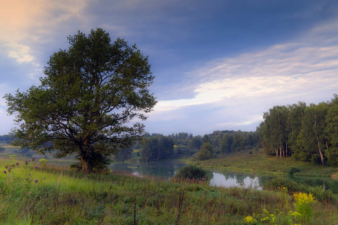 Рассветы августа