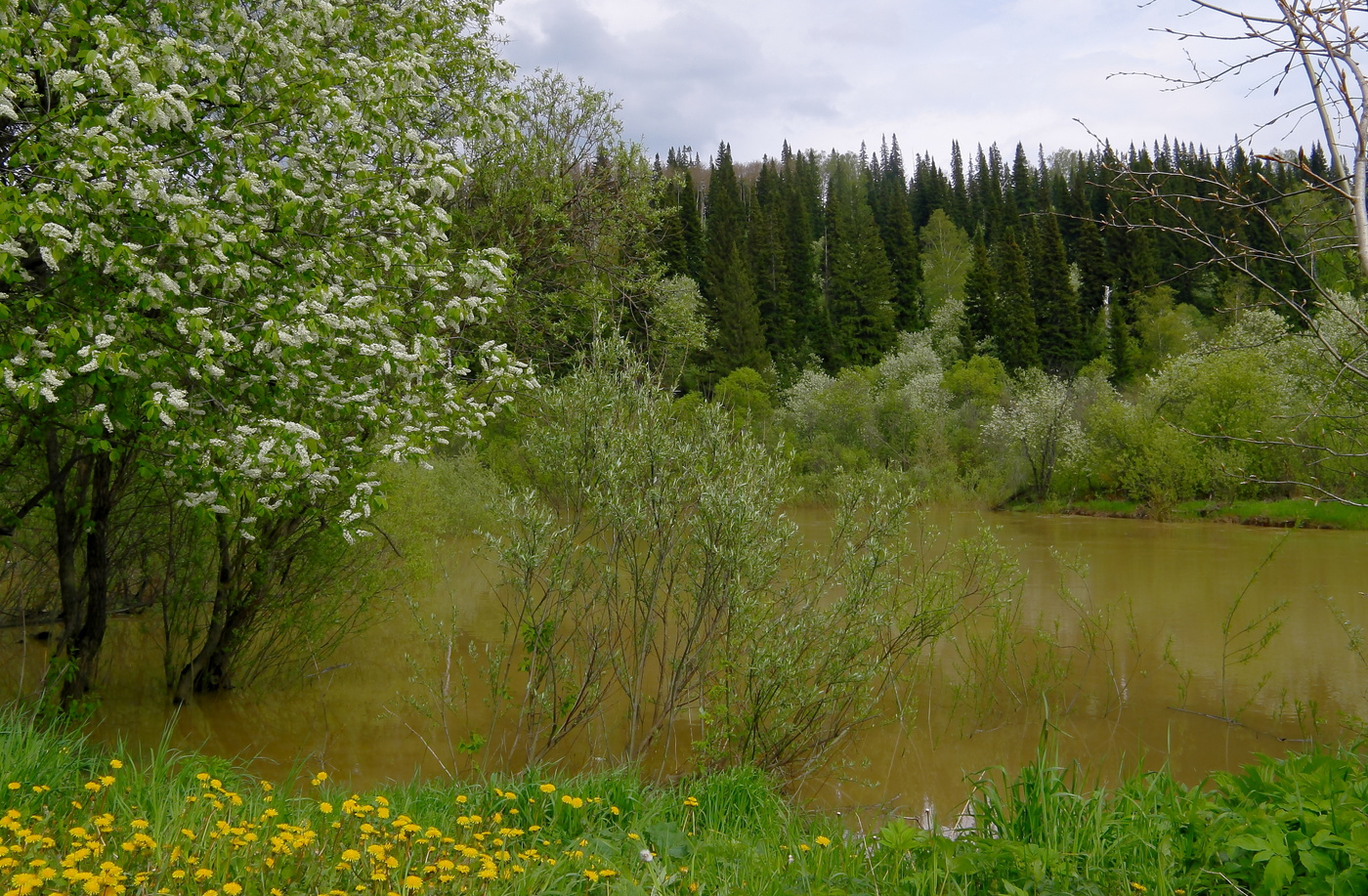 Была весна и вновь все повторится