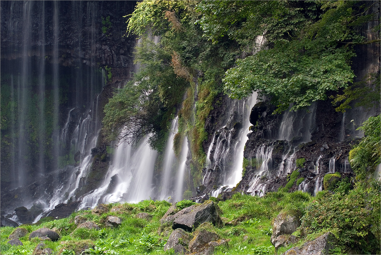 Серебряные струны