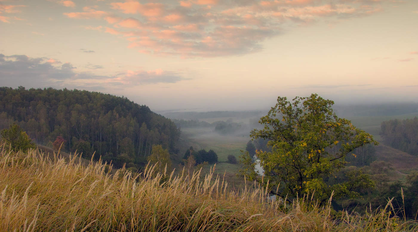 Туманные просторы осени