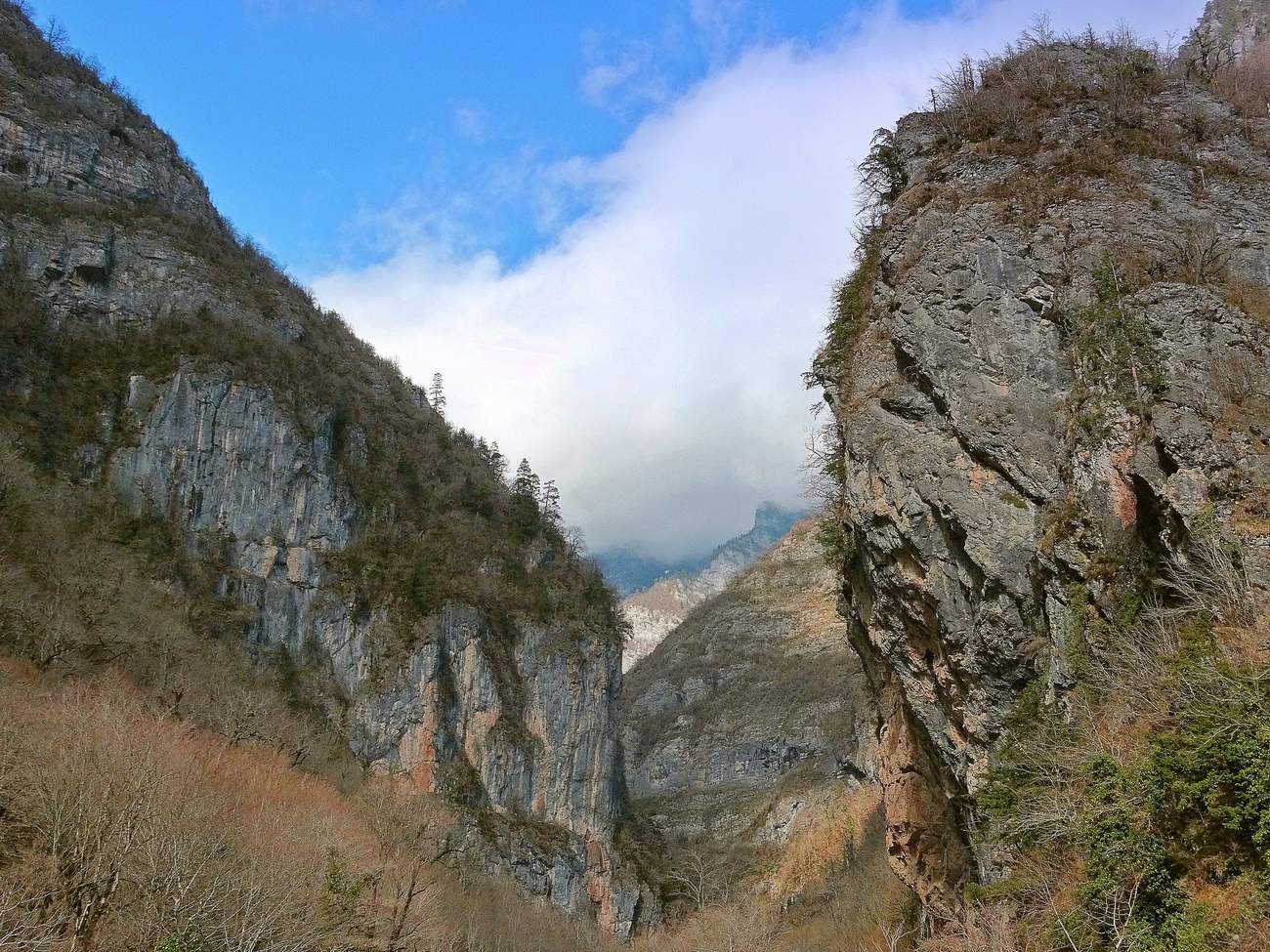 Юпшарские ворота