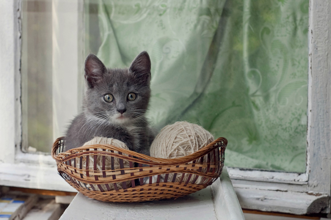 Девочка с клубочками