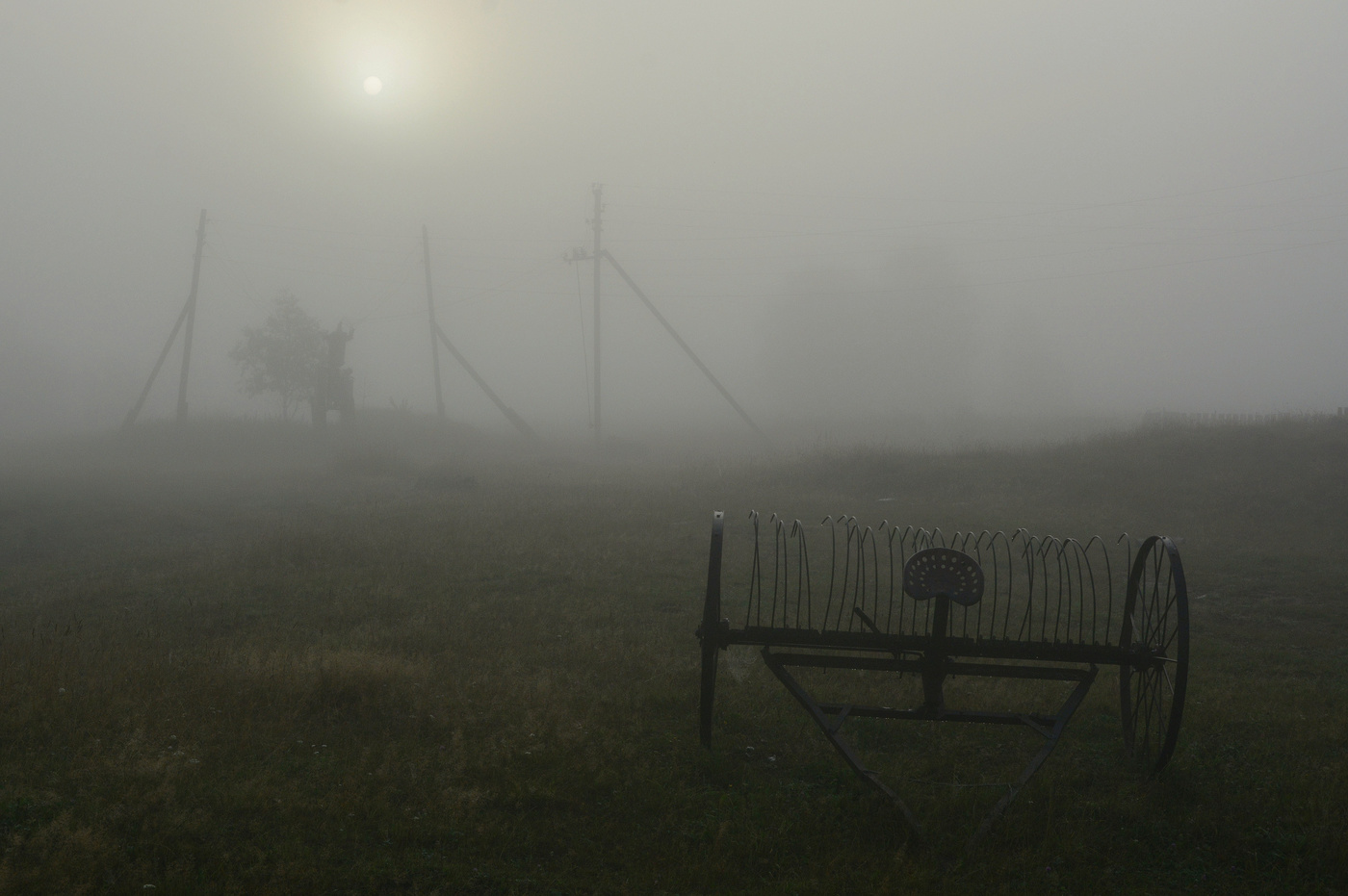 Густой туман ...