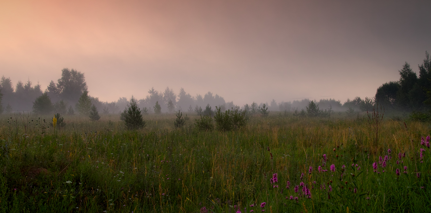 Акварельное утро