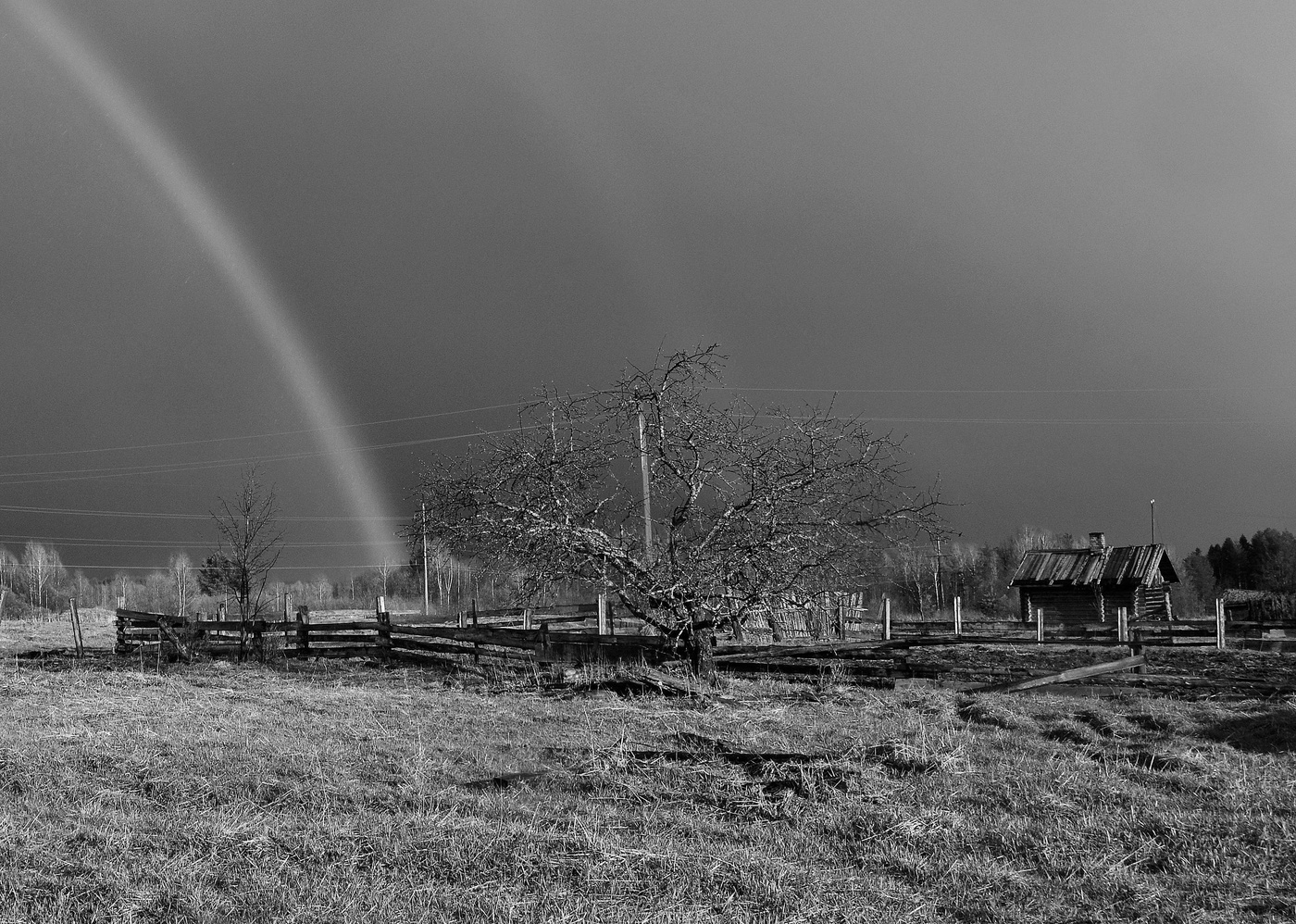 После дождя ...