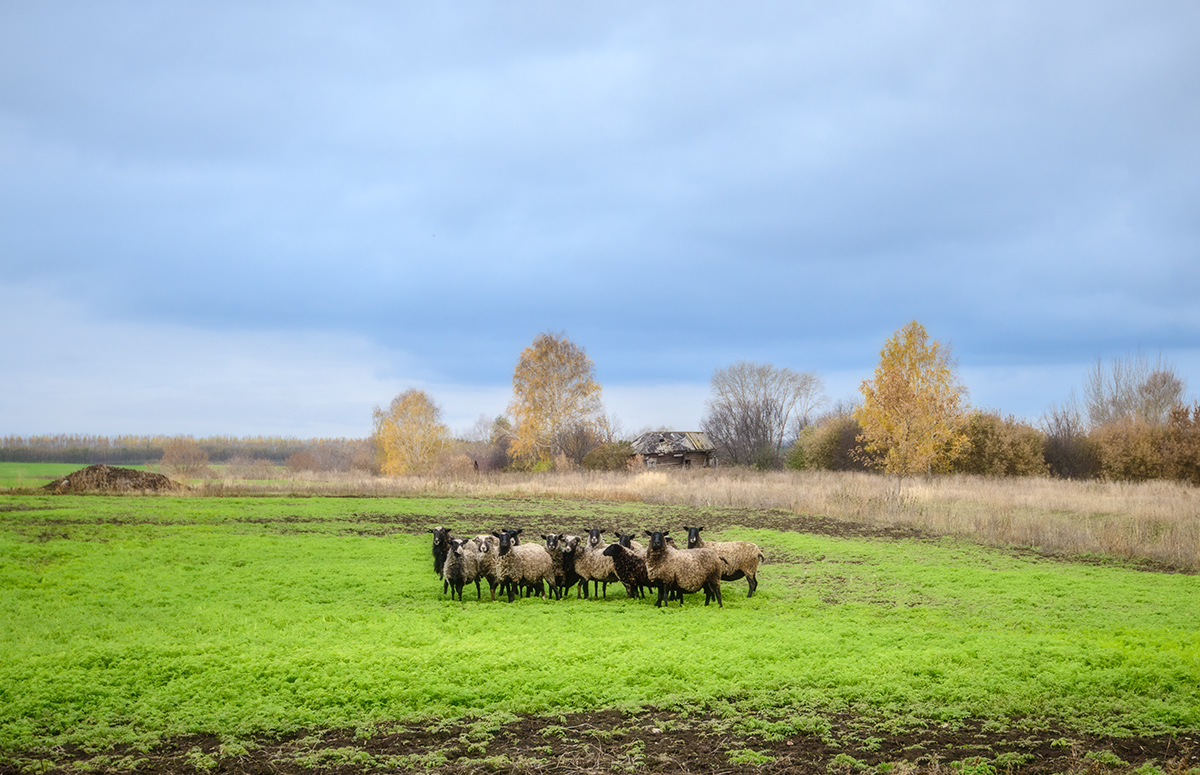 Исчезнувшая деревня...