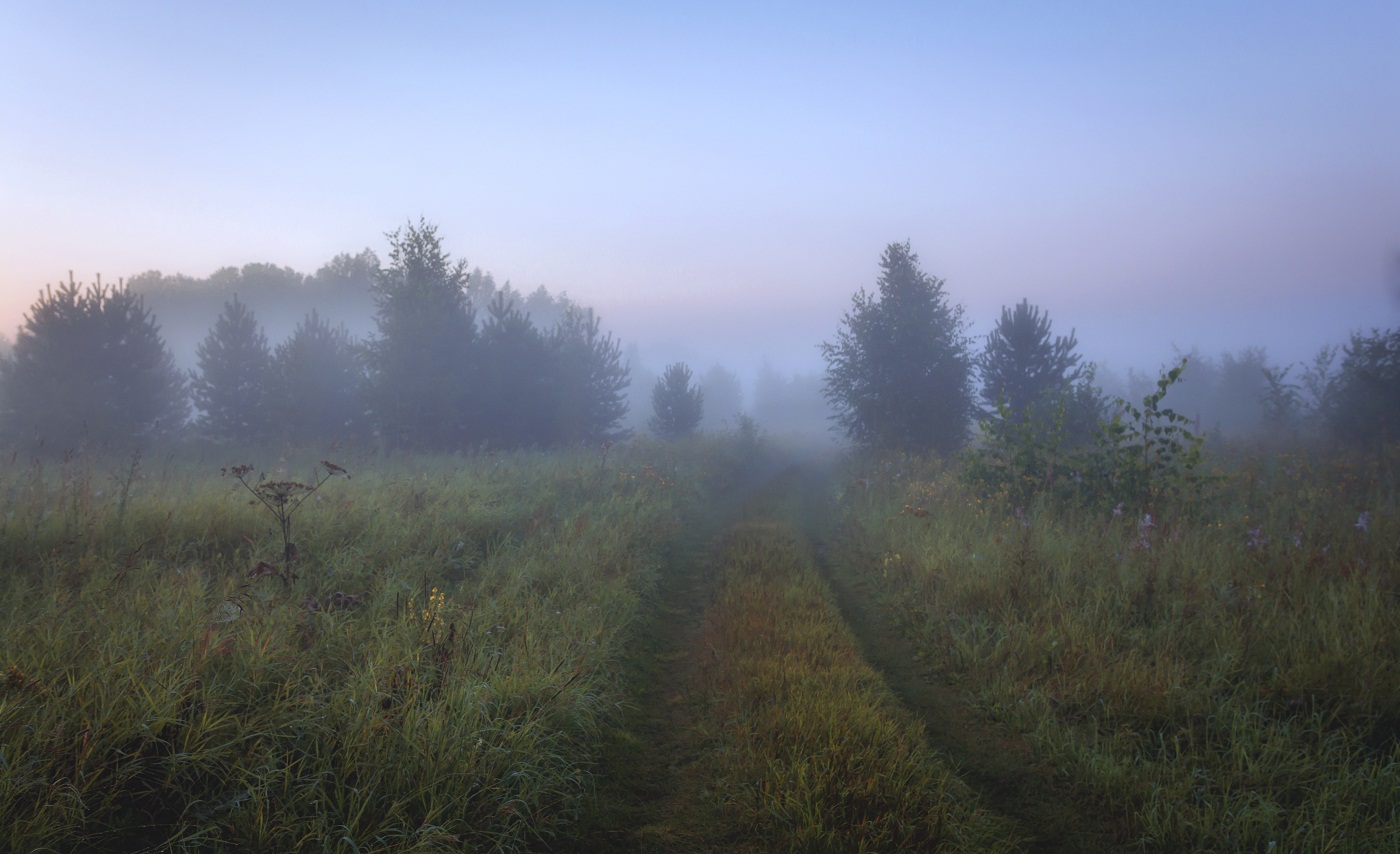 В ожидании лета.(2)