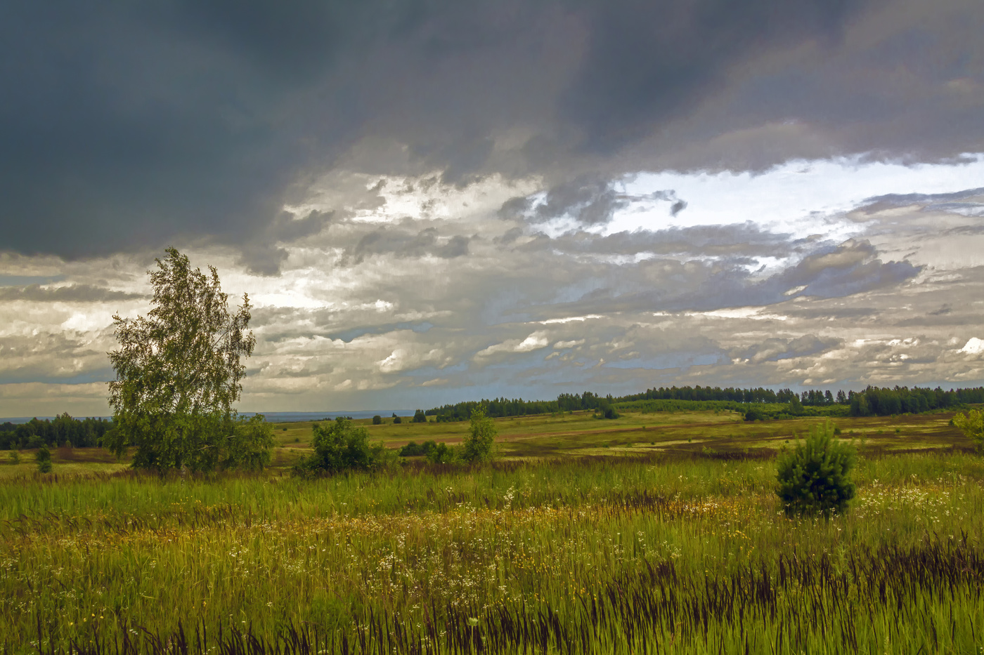 Брянские пейзажи