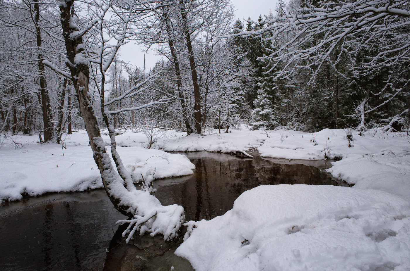 зима вернулась ненадолго