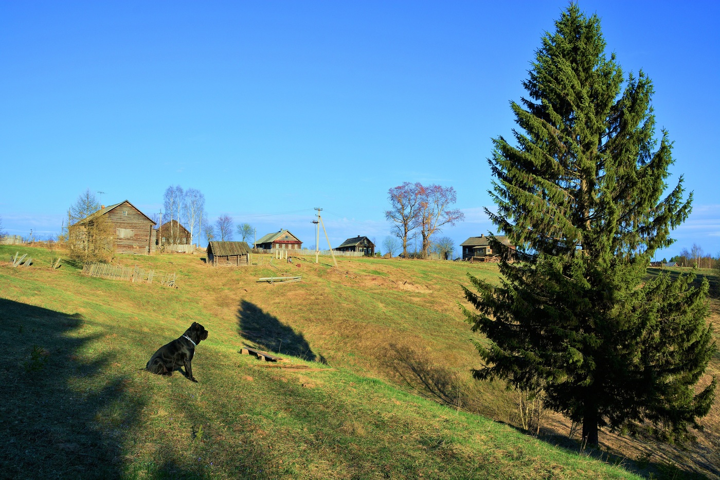 Чужие здесь не ходят ...